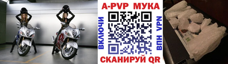 наркотики  Ноябрьск  KRAKEN tor  A PVP СК 