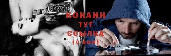 дживик Алексин