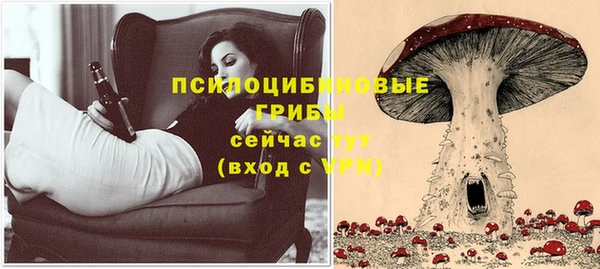 дживик Алексин
