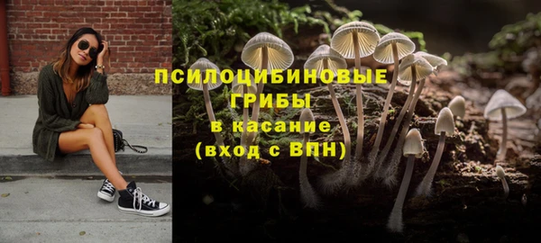 apvp Алексеевка