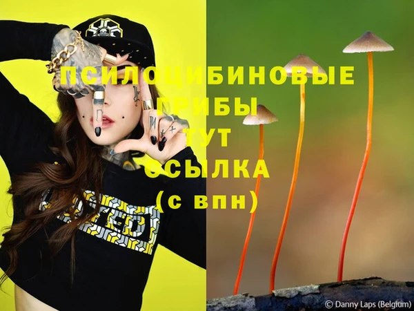 меф Алзамай