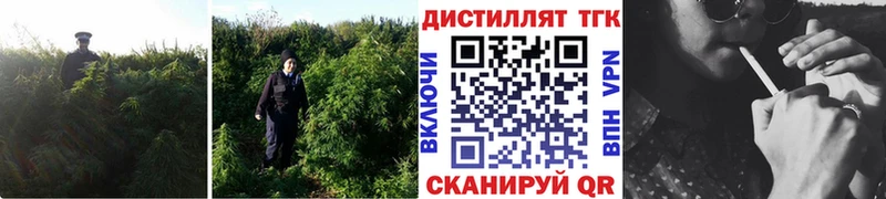 Дистиллят ТГК вейп  Ноябрьск 